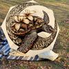 1PC Turtle Moon Umbrella-8-Rib Reinforced, Automatic Open, Lightweight & Durable, Fashion Accessory for Outdoor, H0395