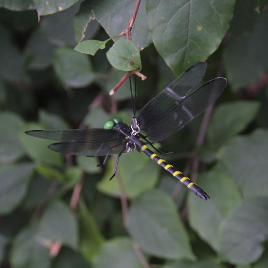 Τρισδιάστατο Τεχνητό Εντομοαπωθητικό Λιβελούλας Εξωτερικού Χώρου Ψεύτικη Λιβελούλα Κρεμαστό Στολίδι Απωθητικό Μύγας Συντροφιά για Κήπο, Κάμπινγκ, Αυλή