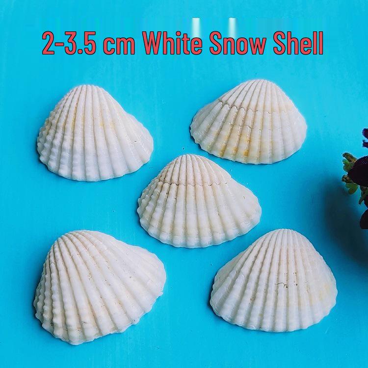 Handmade Seashell Graffiti Wall Sticker: Scallop BBQ Hawaii Design