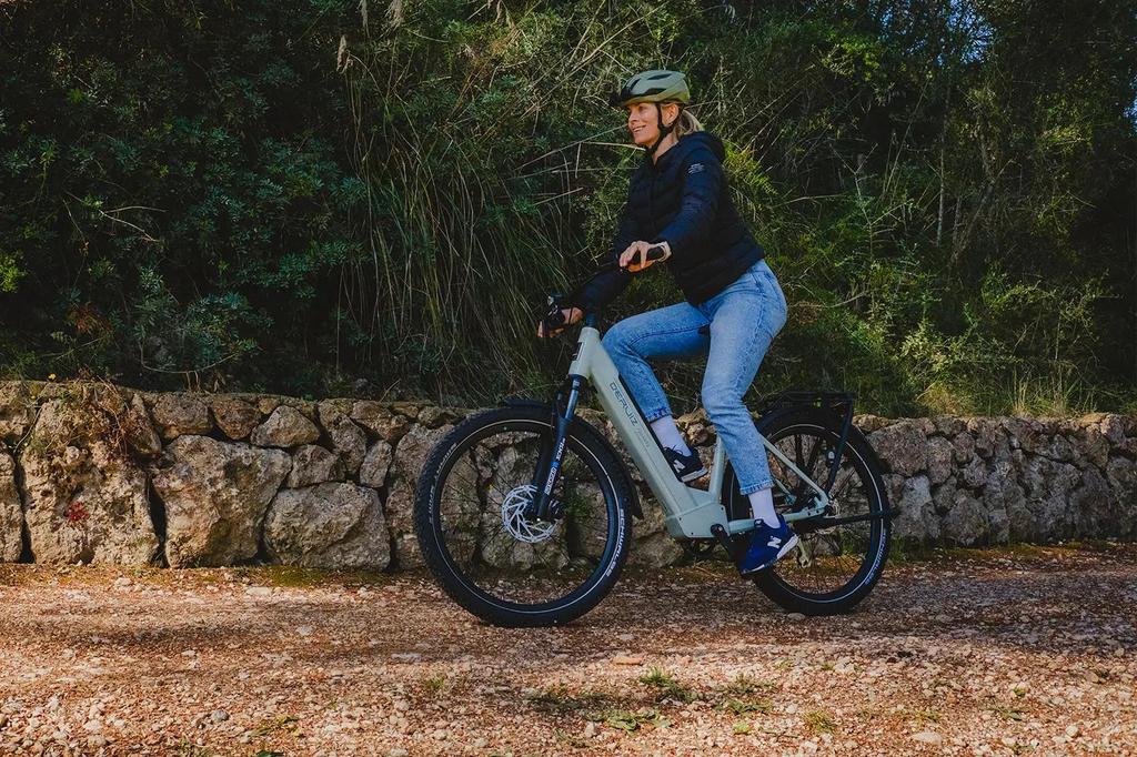 DERUIZ Electrice Bike Quartz SUV Ebike 27.5'' MTB Electric Bike for Adults,250W Motor,48V13.4Ah Battery,Hydraulic Disc Brakes Up To 161KM