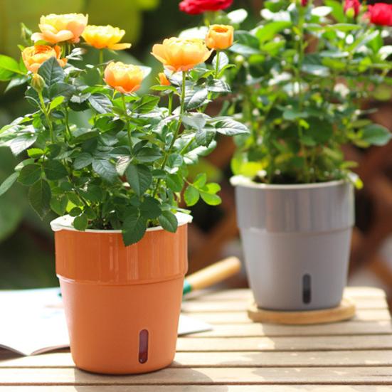 Plant Pot Eye-catching Heat Resistant Plastic Automatic Water Absorption Plant Pot with Cotton Ropes for Home