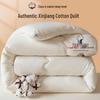 Jihua A-Class Thick Warm Cotton Quilt