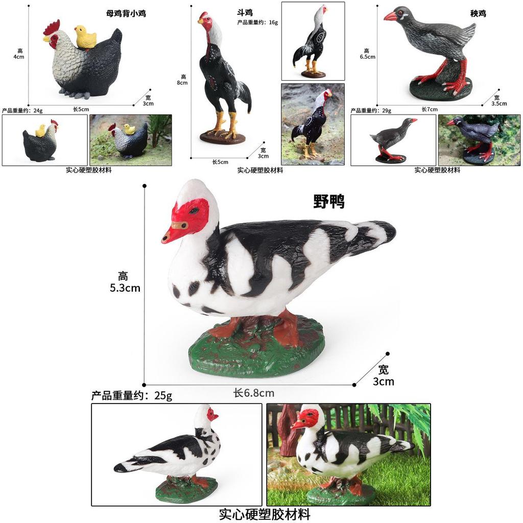 Realistic Animal Model Collection Featuring Poultry Toys For Kids Educational Use