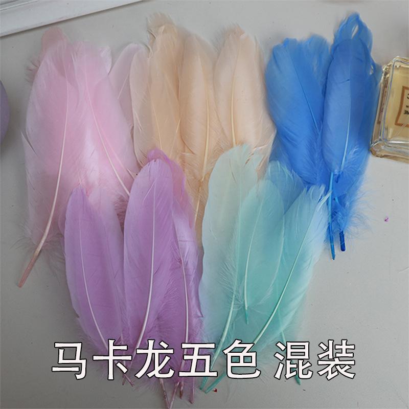 Feather, Macaron goose feather kindergarten handmade DIY colored feathers big floating decorative art class materials 200pcs