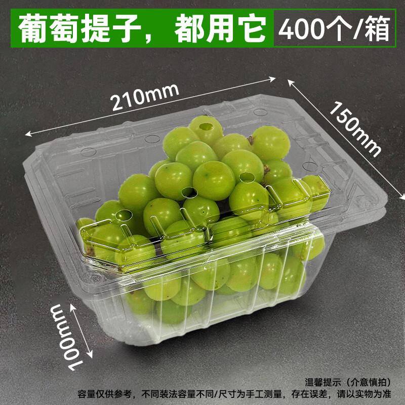 Handun Disposable Fruit Packaging Boxes
