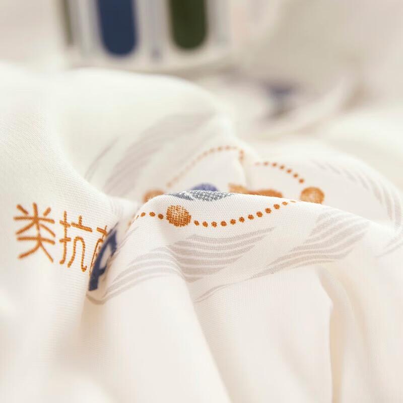 Tangna 3A Antibacterial Warm Fiber Quilt