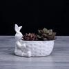Porzellan Hasenfigur Sukkulenten Pflanztopf Dekorative Desktop Keramik Hase Blumentopf Garten Ornament Handwerkszubehör