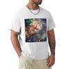Tarantula Nebula Tshirt Casual Loose Short Sleeve Tee For Unisex