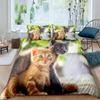 Cat Duvet Cover Set Lovely Animal Bedding Multiple Colour 2/3PCS Quilt Cover,Twin/Full/Queen/King Size Polyester Comforter Cover