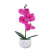 Aphrodite Simulation Phalaenopsis Flower Bonsai Home Living Decoration Room