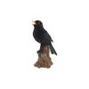 A Small Bird Garden Ornament That Is So Realistic That It Will Blow Your mind.Blackbird 8.5 X 14 X Height 21cm.Singing Bird with sound.Light sensor.A