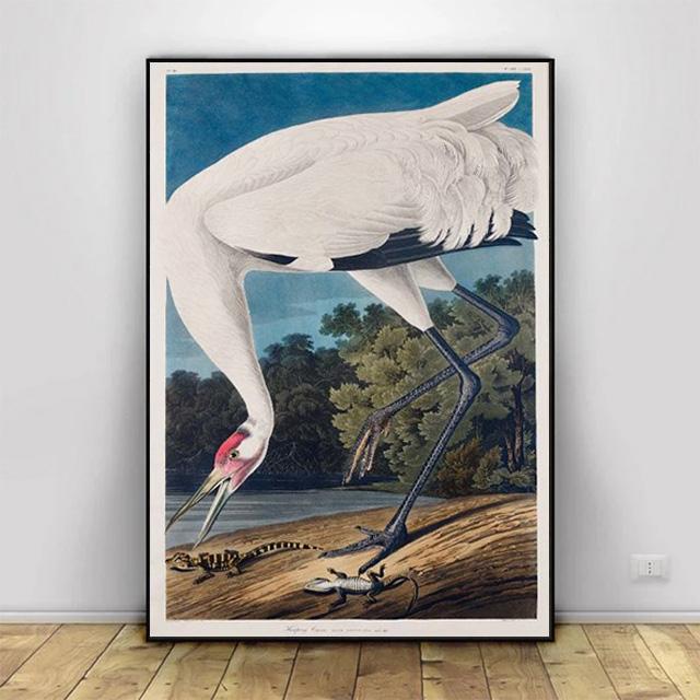 Vintage Bird Prints Retro Animal Art Natural History Canvas Paintings HD Pictures Wall Art For Living Room Home Decor Frameless