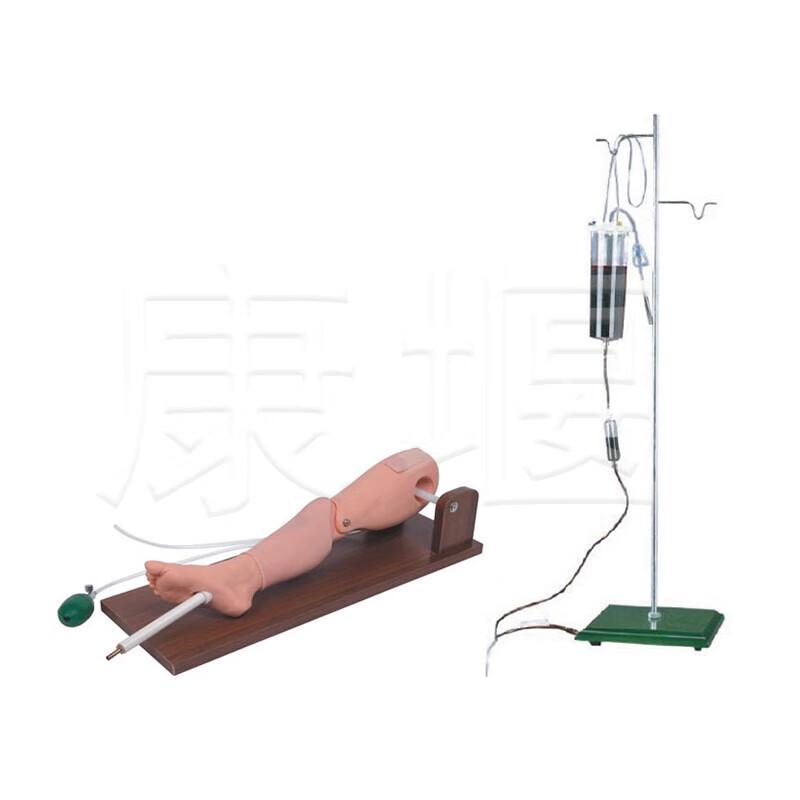 Tibial & Femoral Vein Puncture Training Model