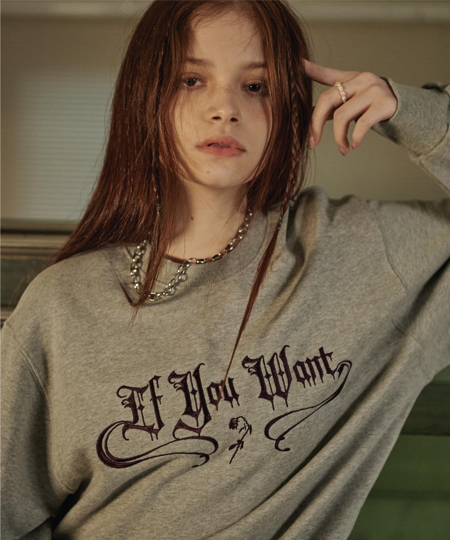 If You Want Shimmer Logo Sweatshirt Gray Gray/One
