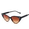 Vintage Cat eye Sunglasses Women Sexy Retro Small Cat Eye Sun Glasses Brand Designer Colorful Eyewear For Female