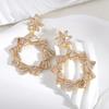 Modern Earrings With Fashionable Fringe For Women Summer Accessories