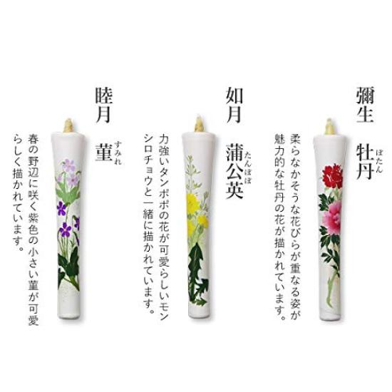 Daiyo Illustrated Candles, Floral Set A for the Twelve Months