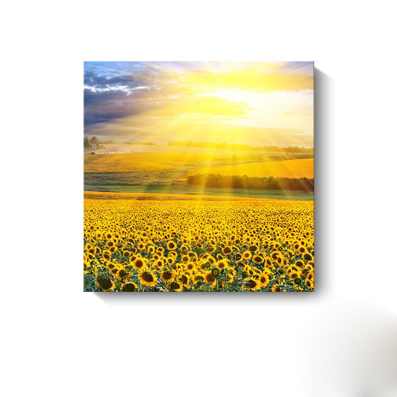 Moderne Sonnenblumen-Leinwandmalerei, nordische Landschaft, HD-Bilder, Blumenplakate und -drucke, Wandkunst, Bilder, Wanddekoration, kein Rahmen