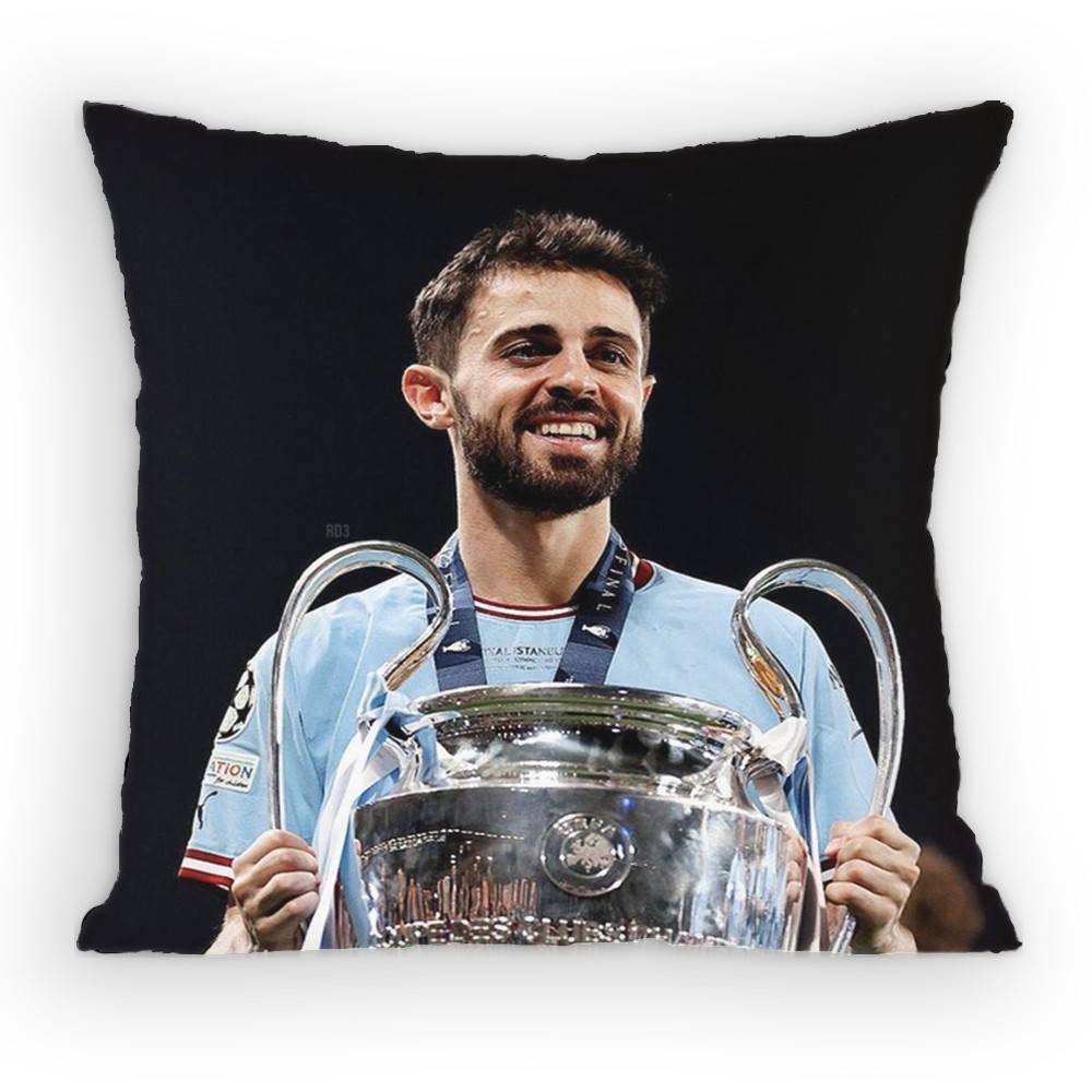 BBernardo SSilva  MidCourt Pillow Case Antidustmite Pillowcase Invisible Zipper Silky Short Plush Sofa Cushion Cover