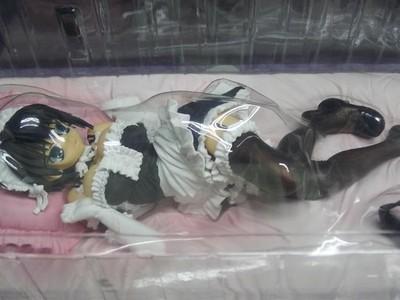 Sega Prize He Is My Master High Grade Figure Set 2 Kawaii from Japan