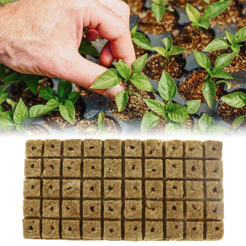 

Rock Hydroponic Seedling Block For Garden Supplies Planter Pot Planting Sponge Stonewool Cubes Rock 50pcs