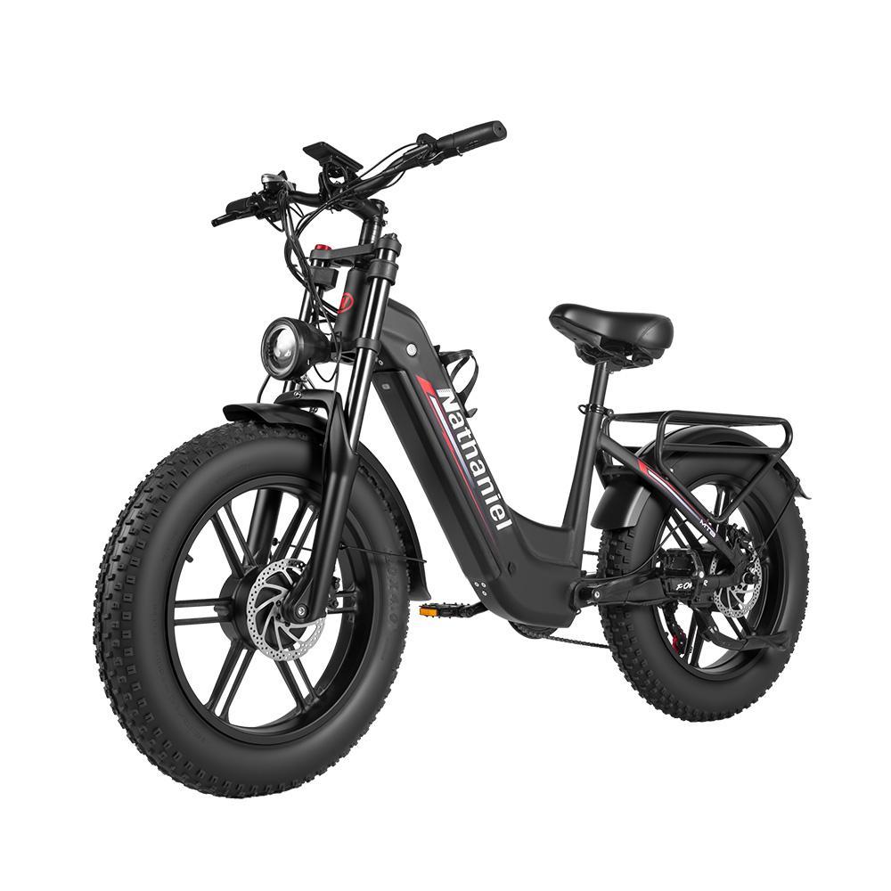 Nathaniel SYR08 Elektriskais velosipēds pieaugušajiem 1000W*2