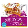 Mitsui Norin Nitto Tea Cold Brew Iced Tea Earl Grey TB 100 Tea Bags