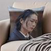 RRoh JJae Won Cushion Cover Pillowcase Antidustmite Invisible Zipper Short Plush Sofa Cushion