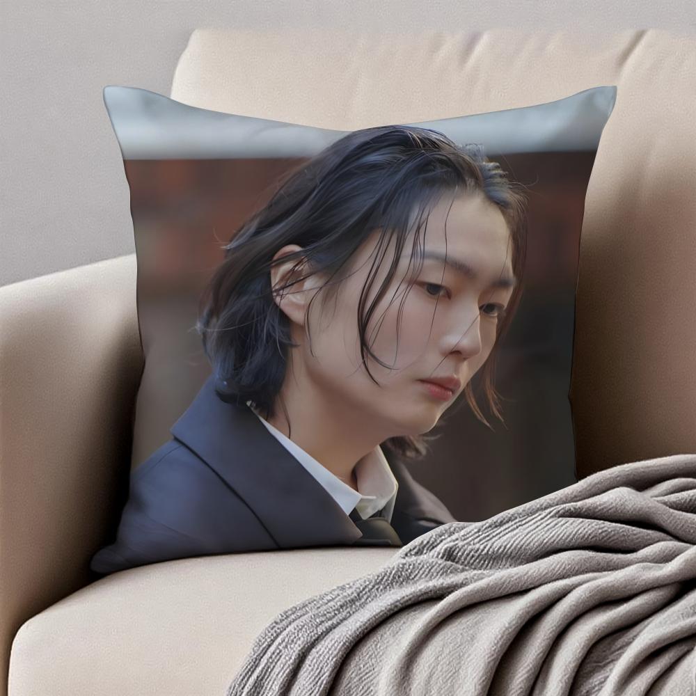 RRoh JJae Won Cushion Cover Pillowcase Antidustmite Invisible Zipper Short Plush Sofa Cushion