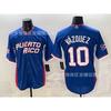 2026 Mexico Baseball Jersey Embroidered Sports Uniform Team Training