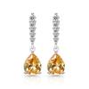Fashion Classic  925 Sterling Silver Shining Water Drop AAA Zircon Women's Earrings