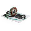 Magneto Stator+Voltage Rectifier+Gasket For Suzuki GZ250 Marauder 250 1999-2011