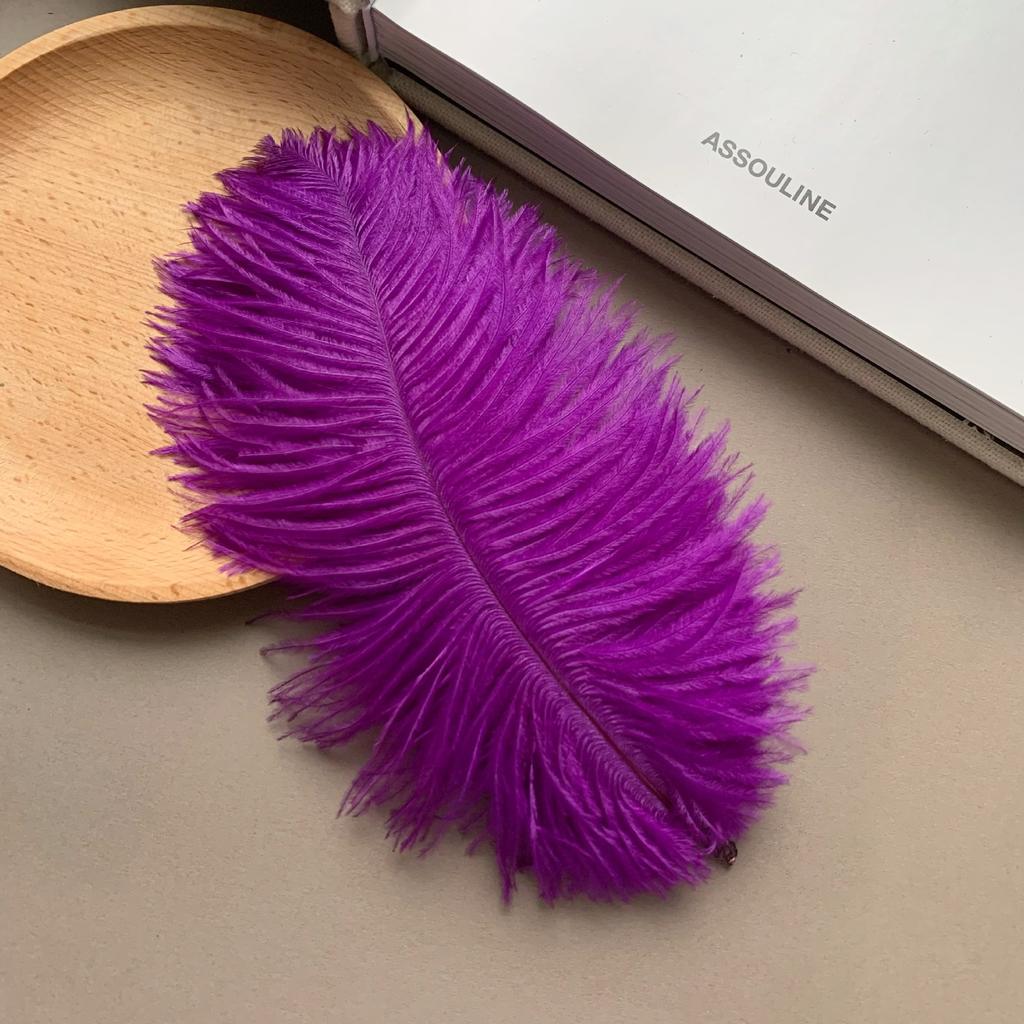 Color ostrich hair 15-20CM ostrich feather Internet celebrity photo background wall feather cake flower arrangement DIY decoration