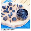 Gakken Science Outdoor Bonfire Challenge (Ages 6 and up) Q750896