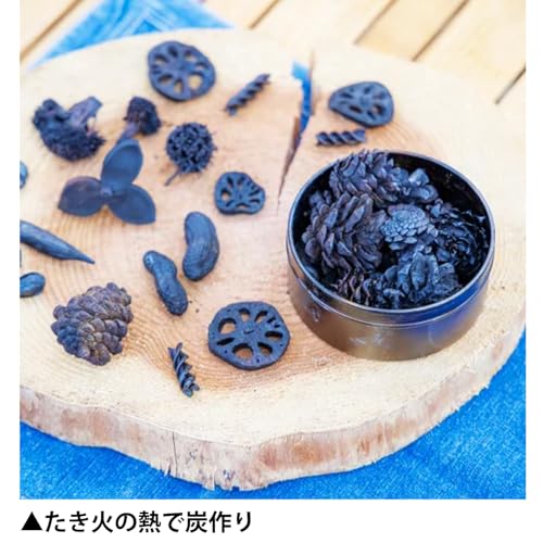Gakken Science Outdoor Bonfire Challenge (Ages 6 and up) Q750896