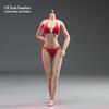 1/6 Scale Female Body Clothes, Underwear, Pants, Swimsuit, Bikini, Leggings, Bra, Bark, for 12-inch Action Leggings Body Doll (Red)