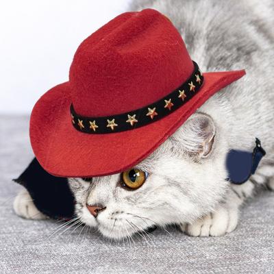 Cappello da Cowboy per Animali Domestici Cappellino Cosplay Regolabile per Cani Accessorio Costume Halloween Natale per Cani Gatti Decorazione Festa in Maschera