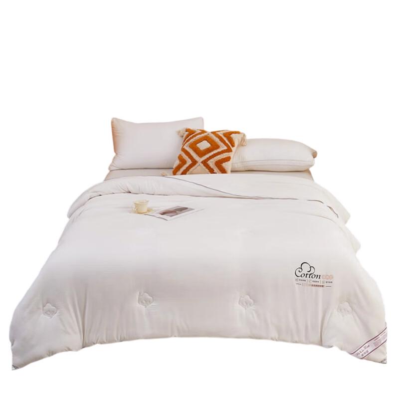 BGM Cloud Soft Winter Fiber Quilt