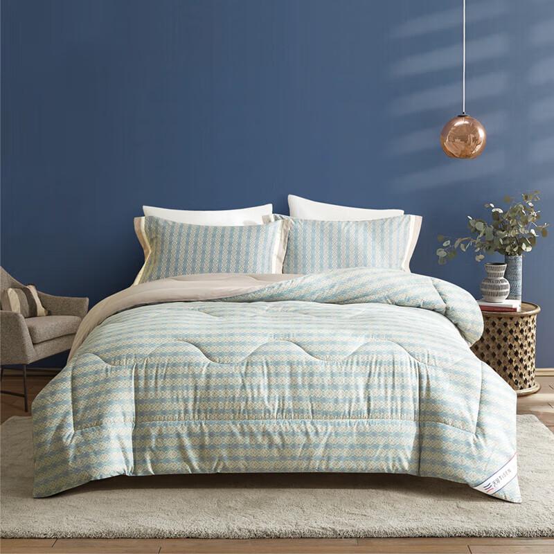 

Tianqin Milan Check Four-Season Duvet Insert