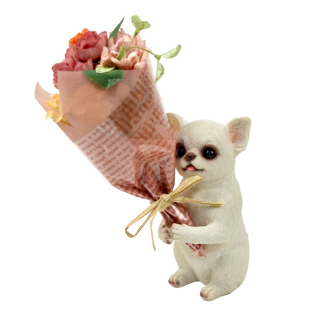 

Maruwa Trade CT Mignon White x x cm Bouquet, Chihuahua, 420867313, Approx. 7.8 11.5 16.7