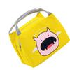 Cartoon Lunch Bag Reusable Picnic Lunch Pouch Tote Meal Bag Ice Pack Kids Adult