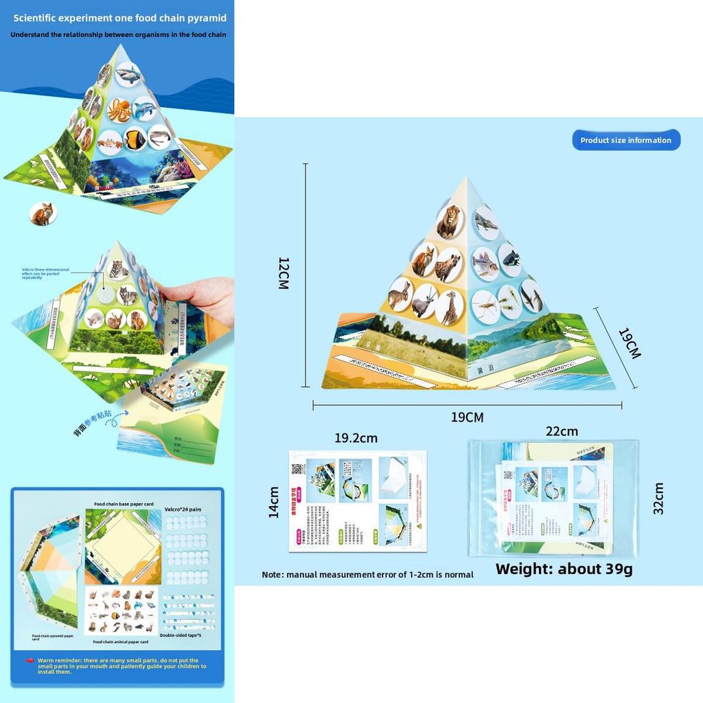 Paper Food Chain Pyramid Model Assembly Material Set Puzzle Toys For Children Educational Biology Set