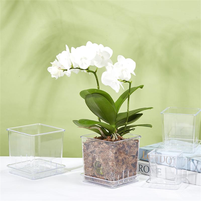 Mini Transparent Flowerpot Phalaenopsis Succulents Breathable Vase with Tray Plastic Seeding Nursery Pot for Home Window Decors