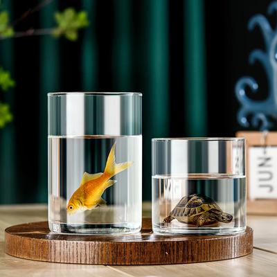 1pc Transparent Vases Plant Bottle Flower Pot Hydroponic Terrarium Arrangement Container Ecological Bottle Home Wedding Decors