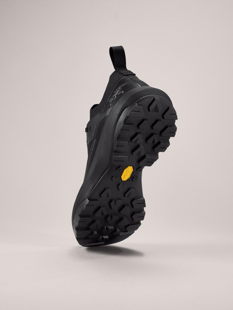 Arcteryx Vertex Alpine Gtx Male (E Type)