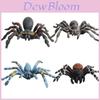 Spider Model Set With Plastic Material For Home Decor And Gift For Nature Lovers