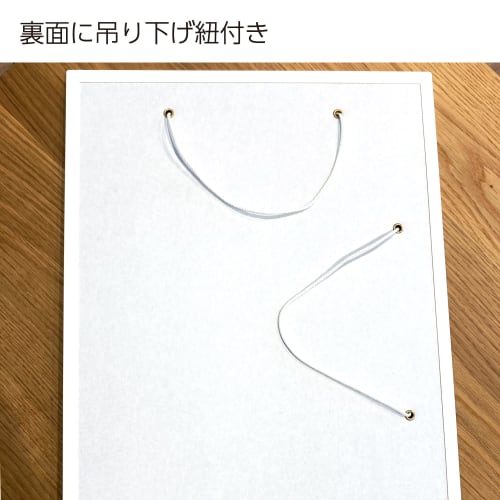 KOKUYO Whiteboard A4 Size Positive Hanging Type For Both Vertical and Horizontal P3FB-A4W