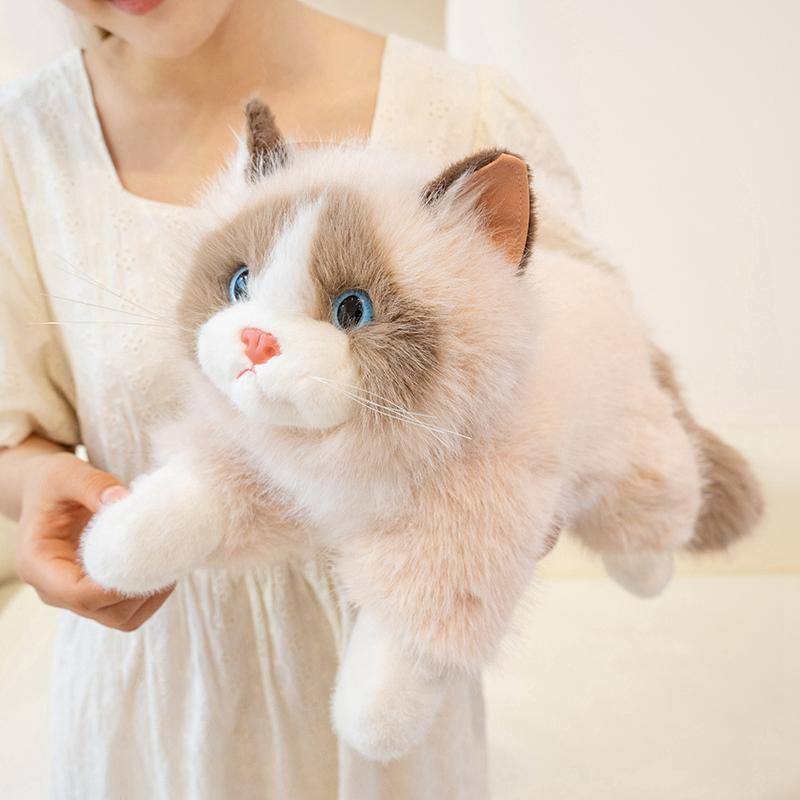 Simulation Ragdoll Cat Plush Toy Fairy Cat Plush Doll Brown and White Face Ragdoll Plushie Cat Home Decor Black Pussy Doll Toys