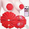 Nipple Vibrator Clamps - 9 Remote Control Vibration Modes, Wearable BDSM Couples Toys for Adults, Rechargeable Wireless Sex Toys