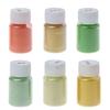 6 Color Cosmetic Grade Resin Powdered Pigments Natural Mica Mineral Colorant Dye